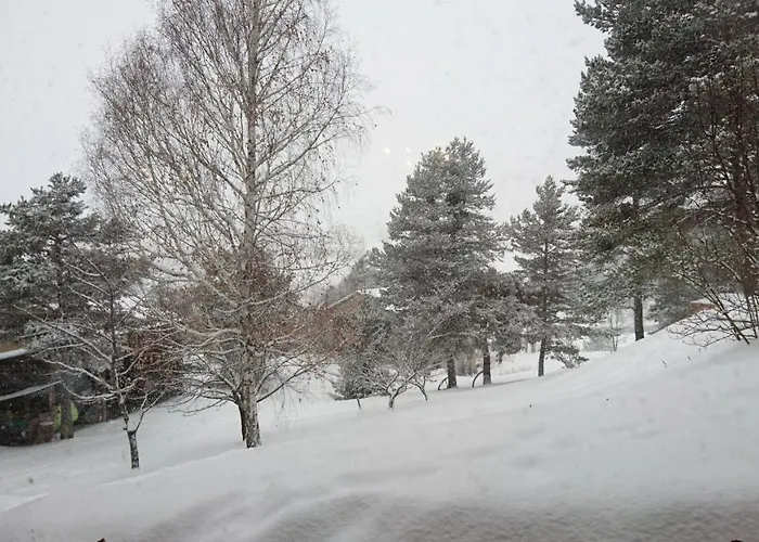 Couette-café Les Ormes